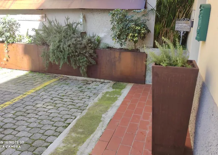 Exotic Flavour House